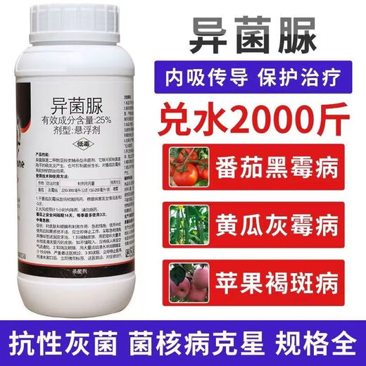 Special medicine for gray mold, iprodione fungicide, blight, cucumber, leek, tomato, strawberry, grape, fruit tree, gray mold pesticide 500g