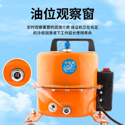 BEYZK汽车空调真空泵抽打两用泵抽空打压检漏泵机吸气冷媒加氟工具机器 YM一12807升一台 送密封圈+