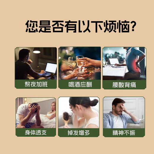 邮政农品人参枸杞桑葚桂圆茶红黑枸杞养生补六宝茶气美容120g*4盒