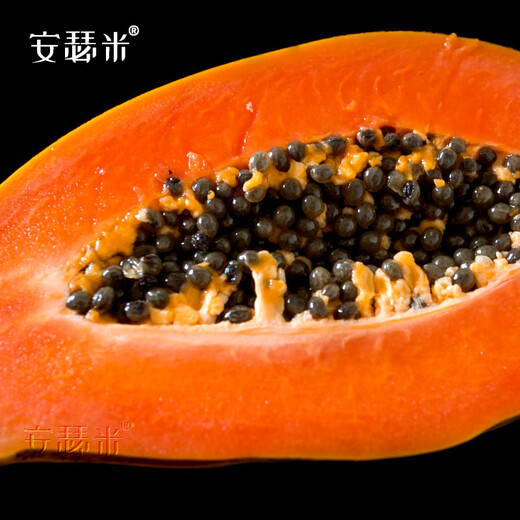 Anselmi Fruit Papaya Seeds from the South Farmer Hongfei Papaya Seeds 5g/bag
