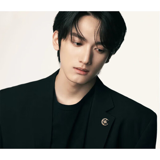 Shijun (SHIJUN) brooch men's brand corsage brooch men's suit sun and moon brooch high-end design exquisite time gold star moon brooch