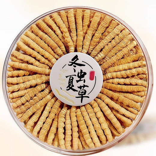 
Cordyceps sinensis cordyceps gift box 2 pieces per gram of Cordyceps dry goods Cordyceps supplement gift gift 50 pieces 50 pieces [3 pieces 1 grams] Gift box Cordyceps