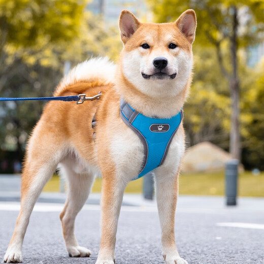 Star rudder Shiba Inu dog leash vest type harness explosion-proof small and medium-sized dog pet supplies dog leash dog walking rope Oxford cloth orange M (12-32Jin Jin equals 0.5kg)