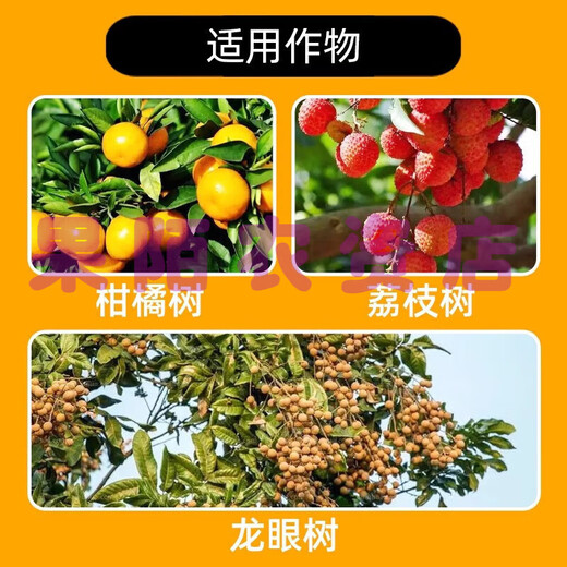 Whole tree fruit-brassinoids gibberellic acid longan lychee citrus fruit trees promote flower preservation and fruit expansion plant growth regulator 100ml