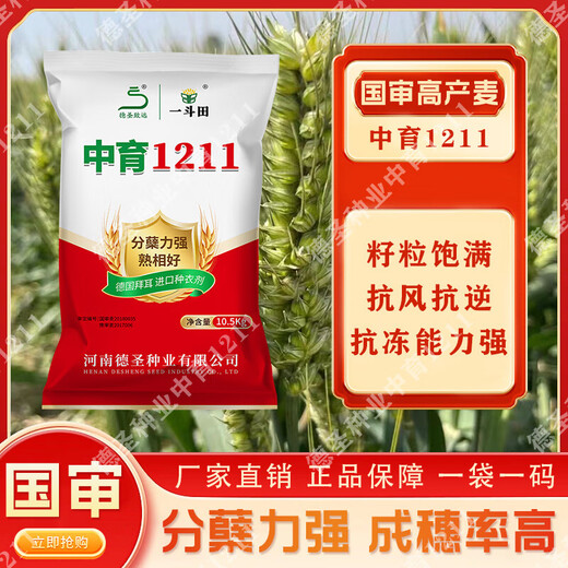 Новый морозостойкий сорт пшеницы Чжунъюй 121125, одобренный на национальном уровне, обладает высокой способностью к кущению, засухоустойчивостью, холодостойкостью, устойчивостью к полеганию, хорошей высокой урожайностью.