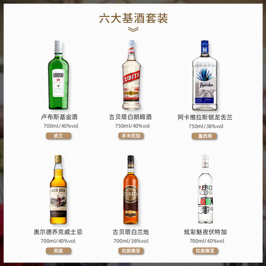 Lubsky Original importierter ausländischer Wein selbst gemachte Cocktail Set sechs große Basisweine Whisky Wodka Rum Gin Tequila Sechs große Basisweine (einschließlich Accessoires)