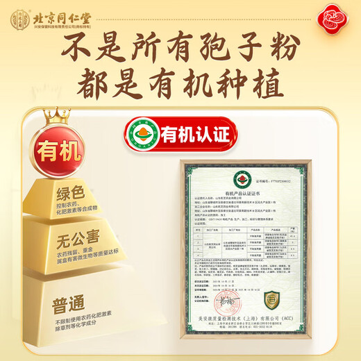 Beijing Tongrentang Ganoderma Lucidum Spore Powder 10g Rometa de pared orgánica de la montaña Changbai para mejorar la inmunidad Productos nutricionales postoperatorios