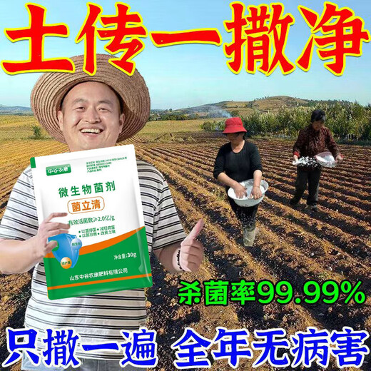 Genuine soil fungicide, special for soil-borne diseases, rapid disinfection and bacteriostasis, soil anti-repeat root rot fungicide, universal, insect-proof and disease-resistant, 2 bags, super sterilization
