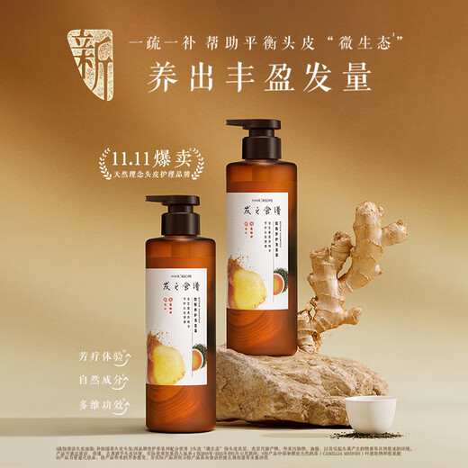 RECHERCHE CHEUR RECHERCHE GINGER ROOD TEA THIR BREATH CHILS Shampoing 530ml * 2 Shampooing anti-phares renforce les cheveux écarlates de cheveux