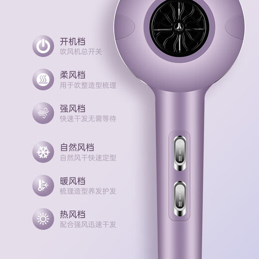 Hair salon strong wind hair dryer household high-power quick-drying blue light negative ion hair dryer hot and cold wind hair care mute hair care strong wind elegant purple free 3