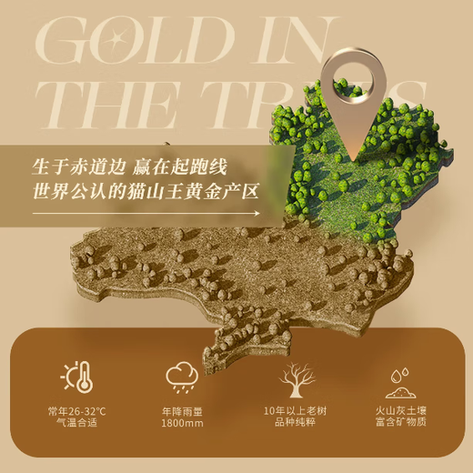 东来甄选马来西亚D200黑刺榴莲自然树熟液氮锁鲜礼盒装送人送长辈顺丰冷链 甄选【保5房】当季新果5.1-5.5斤