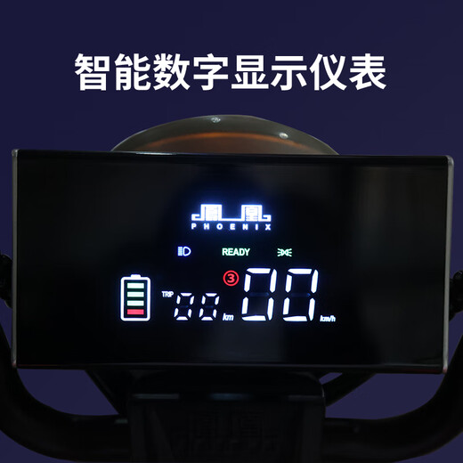 Phoenix (Phoenix) new Jiaolong electric tricycle household electric motorcycle adult three-wheel leisure cargo double row battery car 600W+48V24A black gold + battery life about 45 kilometers
