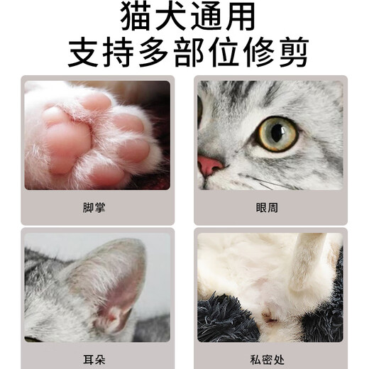 TYZAYR Japanese pet foot shaver for dogs and cats, electric clipper for shaving dog and cat hair, 5th generation pear white foot shaver (with oil brush line)