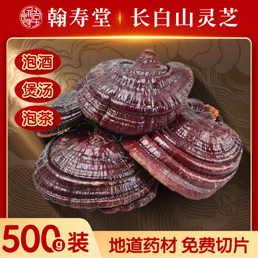 长白山药房品质紫灵芝野生中药材500g整朵赤灵芝片孢子粉泡酒礼盒 赤灵芝整株500g（长白山成熟体大灵芝）