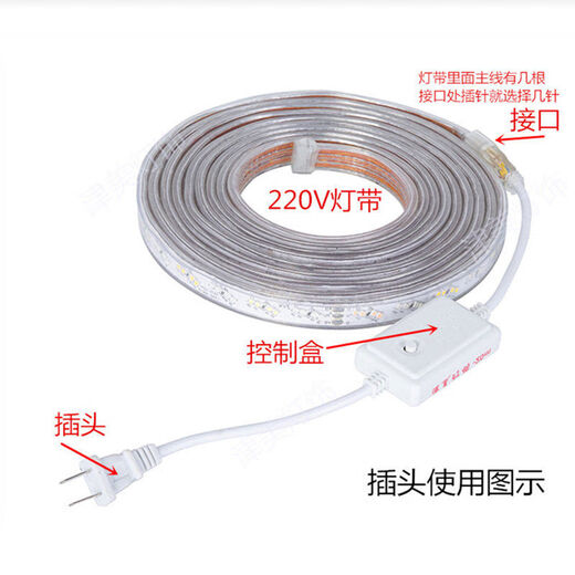 Yangshengfu led light strip controller flashing plug 220V ballast two-wire three-wire four-wire lantern horse racing lighting accessories 4-pin wide 11mm flashing memory control 1-40 meters