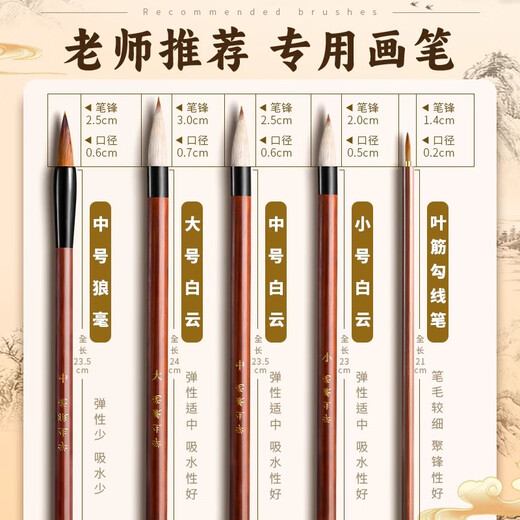 Deli Chinese Painting Paint Set Beginner Tools Beginners Rice Paper Brush Art Special for Third Grade Ink Painting 12-Color Complete Set of Supplies Ultimate Cost-Effectiveness 12-Color 5ml 43-piece Entry Set Free 30 Rice Papers