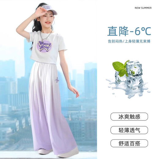 小猪彼特女童套装国风夏季洋气穿搭儿童2025新款夏装女大童冰丝薄款两件套 15117紫色+9889白色 120 cm
