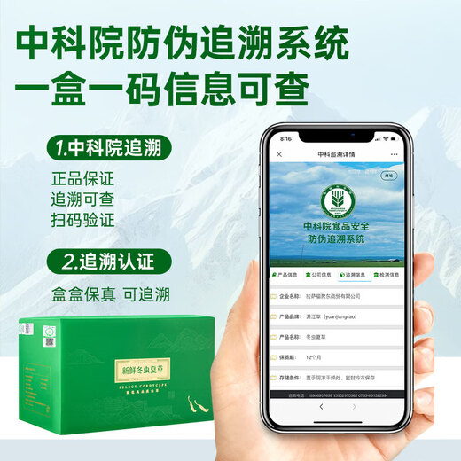 源江草【西藏那曲】2025年正宗野生新鲜冬虫夏草高端滋补礼盒送父母长辈 野生鲜草1.0-1.2克/根 50根
