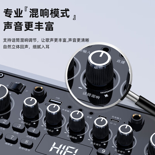 SANSUI G205 Wireless Bluetooth Speaker Outdoor High Volume Square Dance Speaker Portable Home Sound Card K-Song Audio Instrument Playing and Singing Supports Live Broadcast Lossless Recording Camping New Upgraded Version + Wireless Microphone*2+ Erhu Mai*1