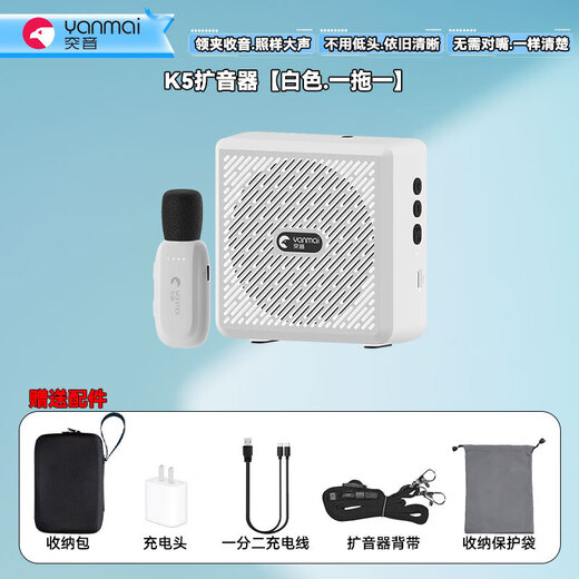 Tuyin K5 Wireless Lavalier Microphone Amplifier for Teachers, Small Bee, High Volume, Anti-Squealing, Noise Reduction Microphone for Teacher Class Meetings, Bluetooth Small Speaker, Outdoor Tour Guide's Voice Protector Tuyin K5-White, Single Model, Wireless Lavalier Amplifier