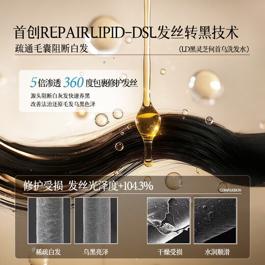 LD何首乌洗发水白头转黑治根正品黑灵芝洗发水金榜第1五黑植萃男女