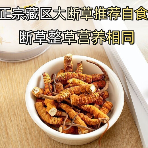 Cordyceps sinensis broken grass authentic fine snow-capped mountain plateau cordyceps 2025 first period big broken grass self-eating nourishment Selected Tibet Nagqu big broken grass 20g pack