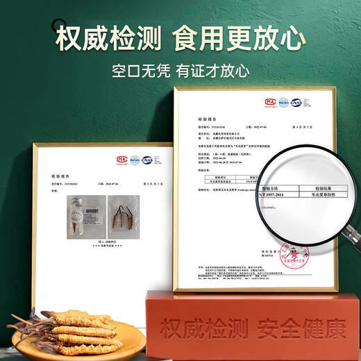 Zangyou auténtica caja de regalo Cordyceps con tónico para la primera etapa del regalo de Cordyceps para que los ancianos y los padres lideren el regalo nutricional [uso económico] 5 palos/G-50 gramos de 250 palos [descuento especial]