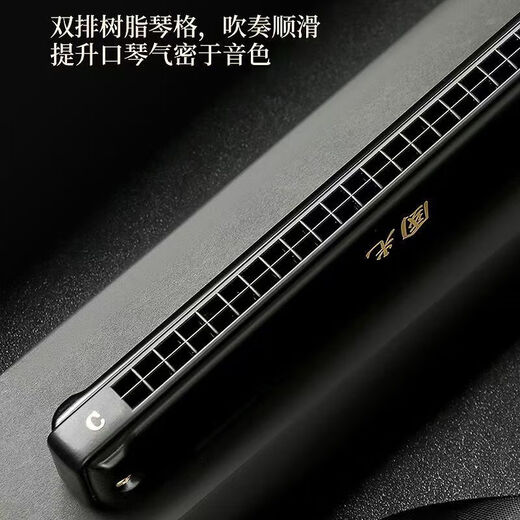 Guoguang Deutschland importiert Gong 24-Loch Polyphonische Harmonika Advanced Adult Professional Performance Grade Nicht-Stall-Fingerabdruck Männlich und Frauen Eingang 24-Loch-C-Tune Polyphonic Schwarz