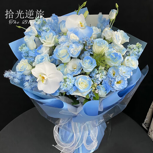 Pick up light and reverse travel flowers. Deliver in the same city. Michigan crushed ice blue rose bouquet for your girlfriend’s birthday gift. The bouquet arrives within an hour. Dielianxingchen | Crushed ice blue with fountain grass, blue star flower and platycodon mixed bouquet.