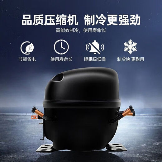 Schneeflocken-Gefrierschrank, Einzeltemperatur-Gefrierschrank, gewerblicher Haushaltskühlschrank mit großer Kapazität, Stufe 1, 1048-Digitalanzeige-Upgrade, Einzeltemperatur-Doppeltür-Gefrierschrank