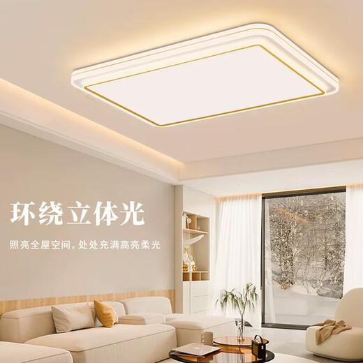 雷士（NVC）nvc雷士照明LED全光谱客厅灯吸顶灯轻奢主卧室灯房间全屋灯具摆件 皓玉Φ490MM全光谱Ra9848W智