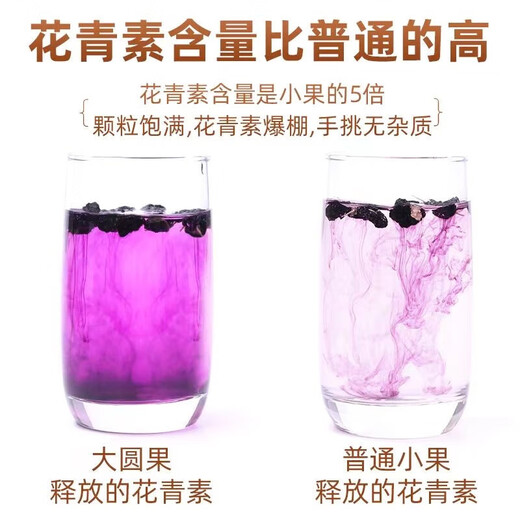 黑枸杞中药材青海野生黑枸杞特级特级免洗大果正宗男肾泡水泡茶 黑枸杞500克