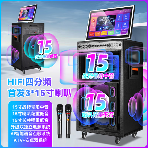 Xianke [National Subvention] Family KTV Audio Set Amplifier All-in-One Machine Square Dance-Audio mit Display Screen Karaoke Bestellmaschine Outdoor Home K-Singing [Hot Product] Dual 15-Zoll + Lade-/Plug-in-Dual-Einsatz