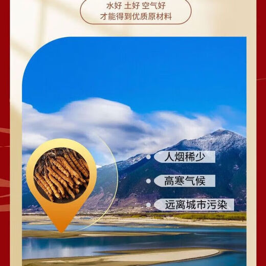 Les capsules de Cordyceps de Tongrentang de Pékin pour reconstituer les reins L et renforcer les lyangs pour réguler l'immunité Shoushibaoyuan Cordyceps Capsules Mycelium Tongrentang Cordyceps King Capsules [60 capsules / boîte]