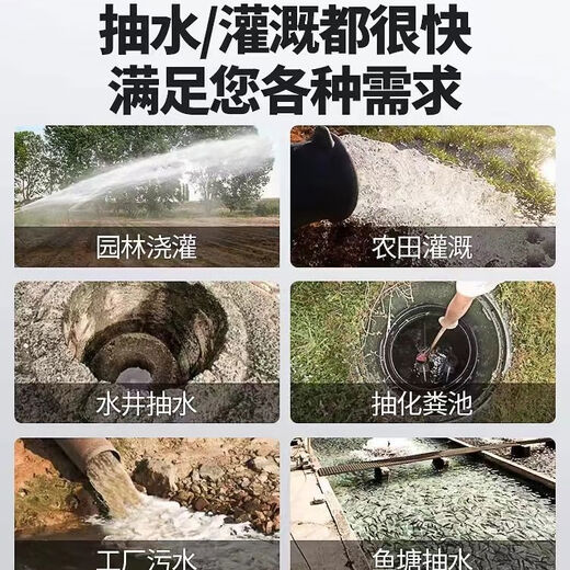 BEYZK直流深井潜水泵家用井水电瓶电动车12v48v72v伏高扬程深水井水泵 1272V 10叶4872v3200w25线30水带礼包