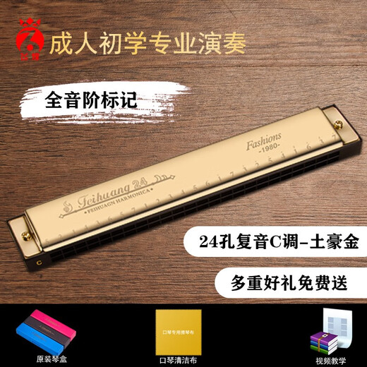 国光上海口琴24孔复音C调初学者学生儿童男女自学入门口风琴乐器 飞煌口琴24孔C调复音金色