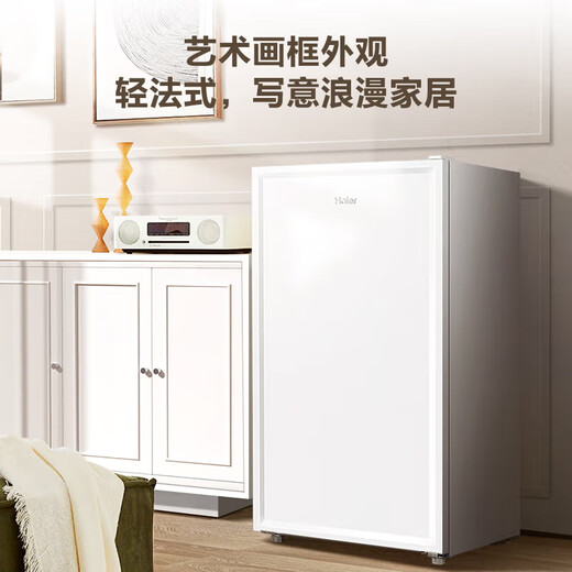 海尔（Haier）立式冰柜151/211升一级能效匀冷减霜家用 冷冻柜抽屉式冷柜艺术画框小冰柜家用小型 四区精储BD-151GHW9 151升 151L
