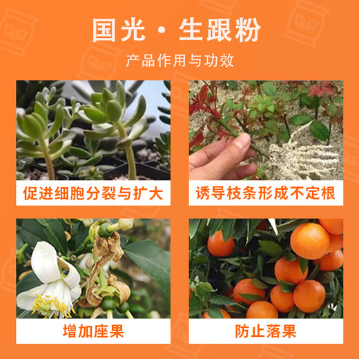 Guoguang Academy of Agricultural Sciences recommends Guoguang Shenghe Naphthalene Acetic Acid Flower Rose Succulent Grape Cuttings and Transplanting Root Promoting Powder Guoguang Shenghe 5g*1 bag, 3 bags or more with a measuring spoon