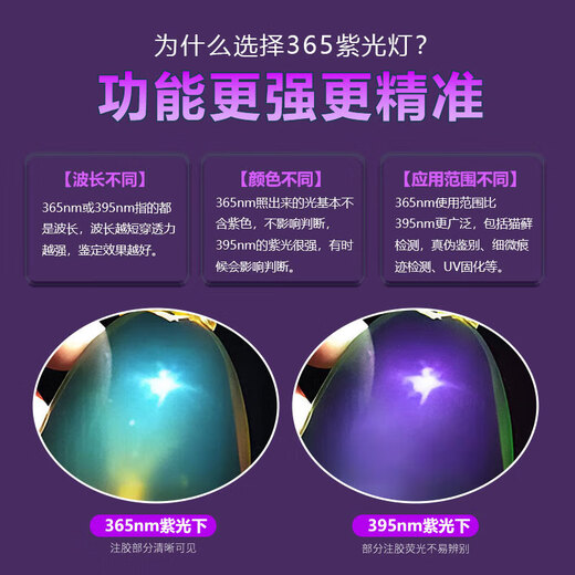 MOTIE Purple Lamp Identification Wood's Lamp UV Flashlight 365nm Fruit and Vegetable Fluorescent Detection Pen Plate Banknote Inspection