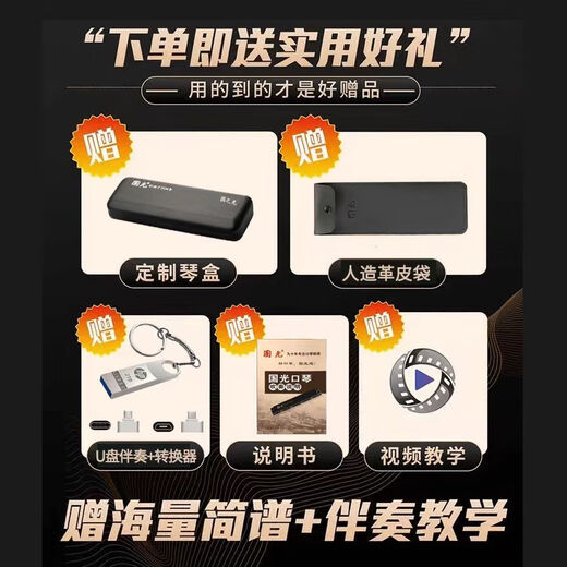 Guoguang 24-Loch Polyphonische Mundhonica importierten Chung Schwankend Klang Schöne Anfänger für Erwachsene Advanced Professional spielen Mundharmonica B Tune + Vollständige Geschenke