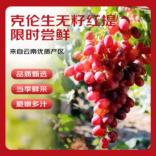 Jingxiansheng Clenson seedless red grapes, net weight 2Jin Jin is equal to 0.5kg, packed grape/raisin Clenson fresh fruit, straight from the source