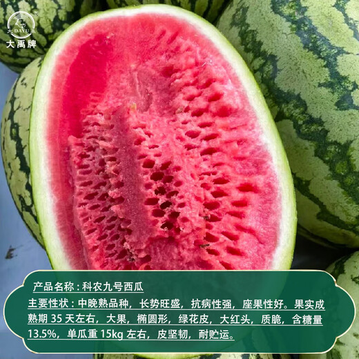 Dayu Xinong No. 8 Watermelon Seed Extra Large Watermelon Seed Selenium Sand Melon is suitable for early maturing fruit seeds in the north and south. Kenong No. 9 Extra Large Watermelon Seed 20 capsules