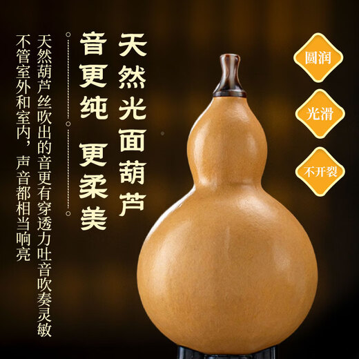 金孔雀乌木葫芦丝c调小学生专用初学者成年人降b调专业演奏级旗舰店乐器 【光面葫芦乌木音管】G调+赠品