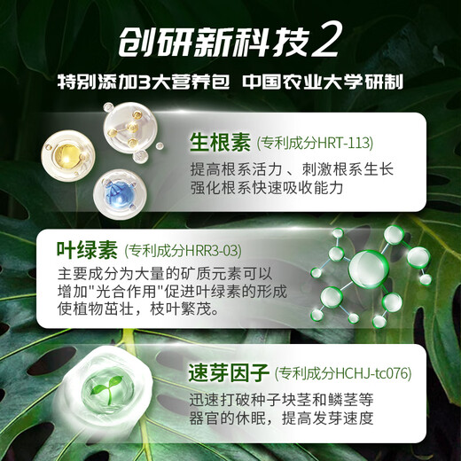 Manlife Monstera special fertilizer nutrient solution for hydroponics and soil cultivation dual-purpose 1.5L watering can transparent large watering can with long pole