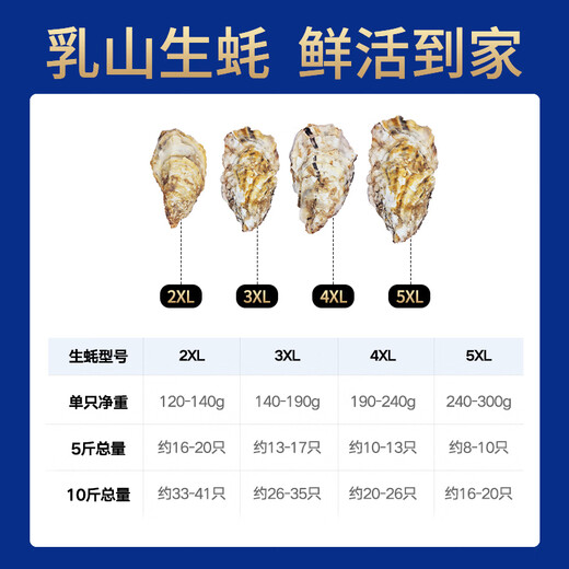 Bassling Fresh Rushan Oysters 4XL Net Weight 10Jin Jin is equal to 0.5kg 20-26 pieces Straight from the source