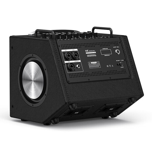 KAE-M8 outdoor karaoke live broadcast roadshow musical instrument audio electric blowpipe guitar saxophone live singing live broadcast internal recording box M8 purple tiger head 330W high power + gift package