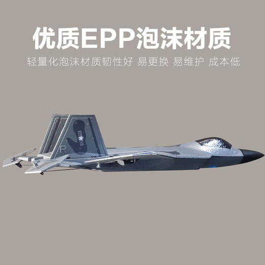 SHENX遥控飞机战斗机J35大型固定翼儿童航模男孩成人玩具耐撞隐形航模 F22-大号四通特技版BM22B无航拍