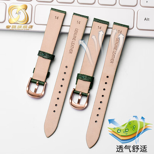 适用阿玛尼手表带AR1726 AR11149 AR11150男女表链墨绿色14mm配件 绿色-玫瑰金色扣 14mm
