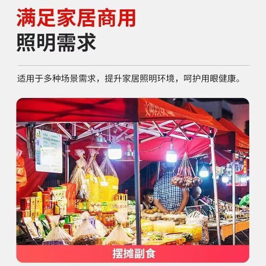 Whale and Light LED energy-saving light bulb with plug household plug-in e27 socket lamp with switch line super bright hanging small wall lamp 10 meters line