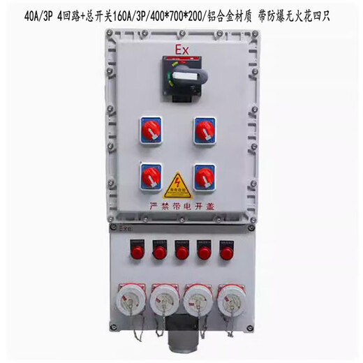 JGGYK aluminum alloy explosion-proof power box, delivery time 2-3 days, 40A/3P/4 circuits + main switch 160A/3P, four with explosion-proof and no sparks